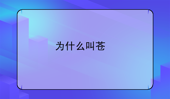 为什么叫苏牙岳父