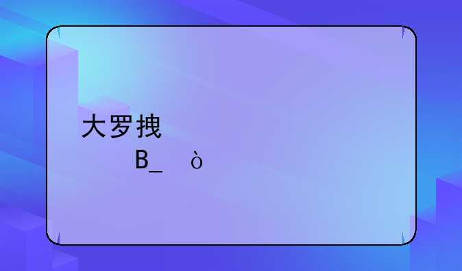 大罗拿过欧冠吗？