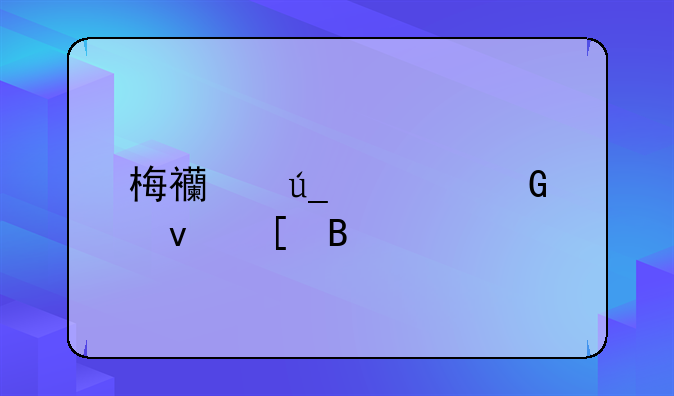 梅西得过金靴奖吗