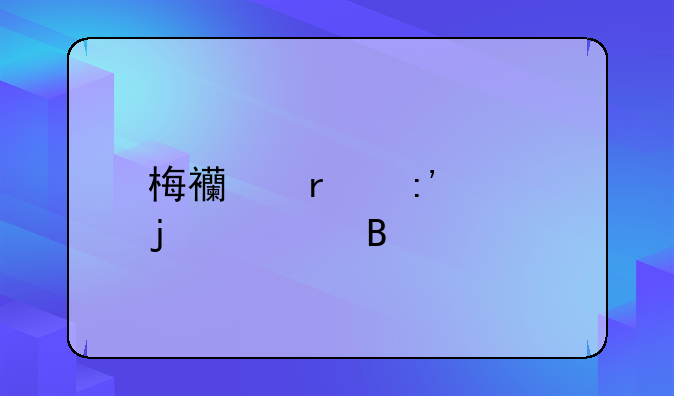 梅西最厉害的一球