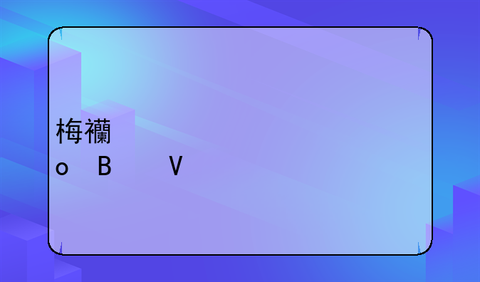 梅西欧冠总进球数