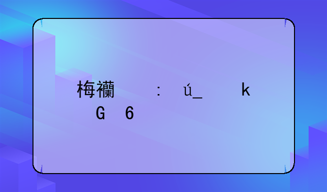 梅西获得多少荣誉