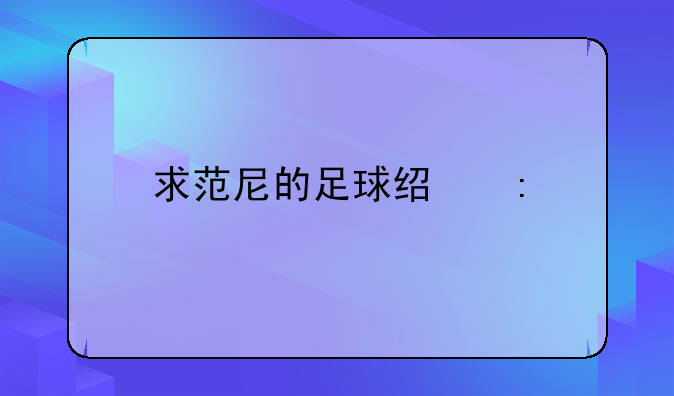 求范尼的足球经历