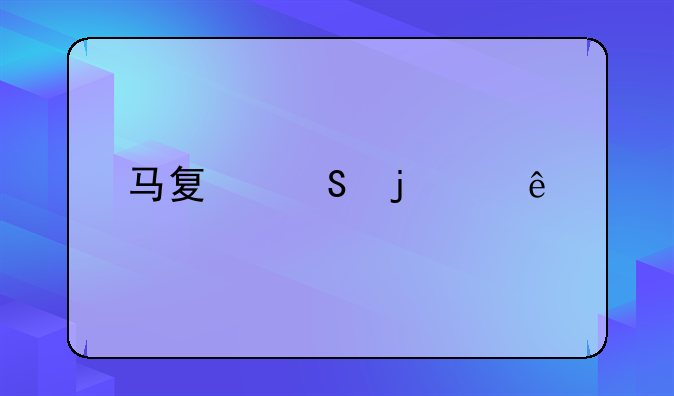 马夏尔的个人简介