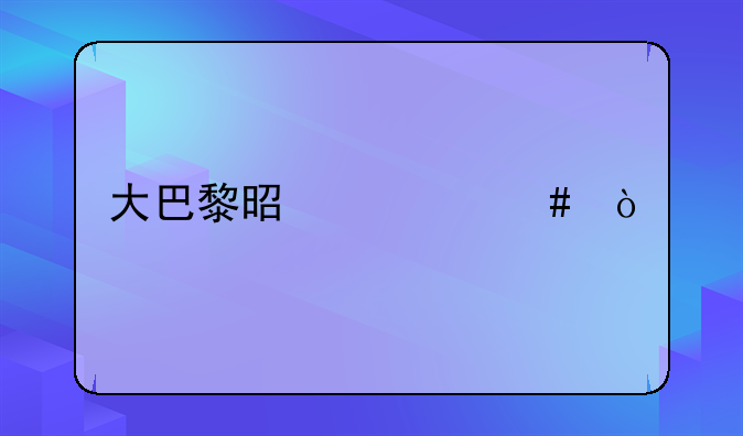 大巴黎是什么？