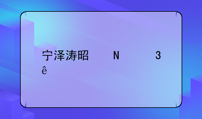 宁泽涛是哪里人