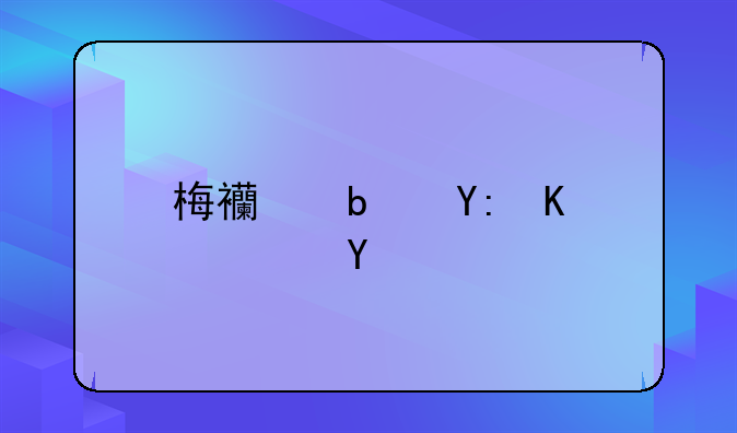 梅西是哪个队的