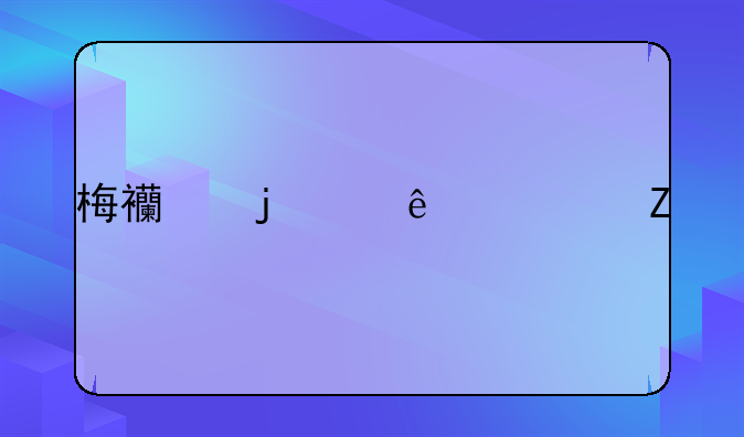 梅西的个人资料