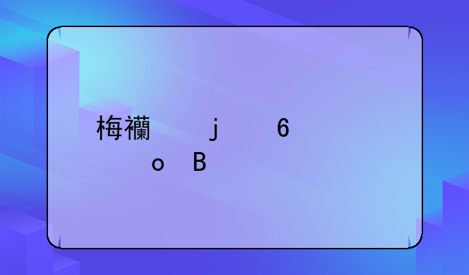 梅西的十大进球