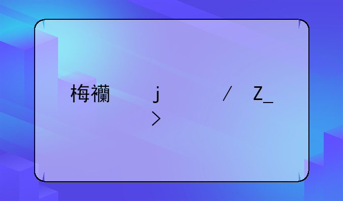 梅西的奋斗简史