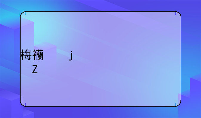 梅西的详细资料