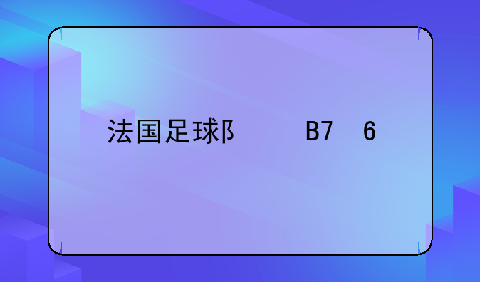 法国足球队名单