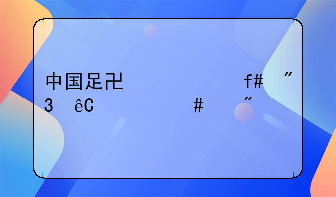 中国足协主席陈戌源什么级别