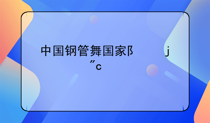 中国钢管舞国家队的出战记录