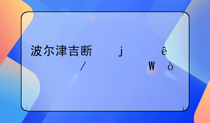 波尔津吉斯的个人简介如何？