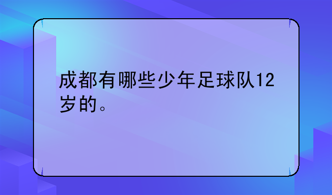 成都有哪些少年足球队12岁的。