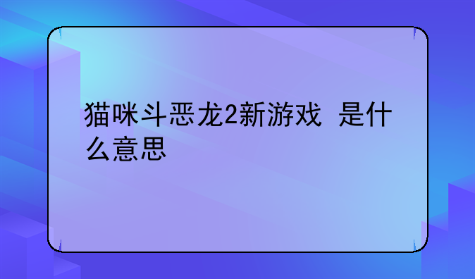 猫咪斗恶龙2新游戏+是什么意思