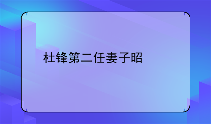 杜锋第二任妻子是谁