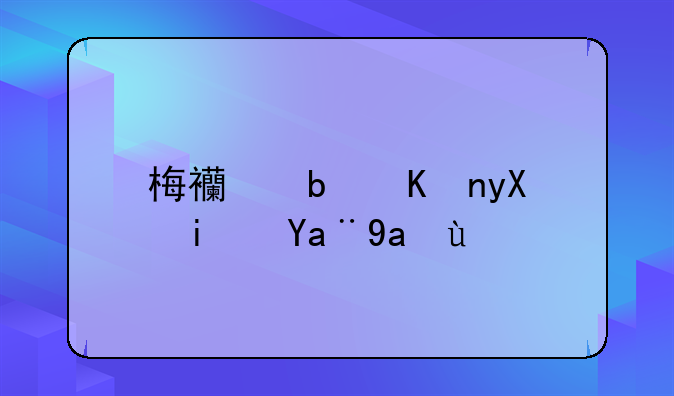 梅西是世界杯冠军吗
