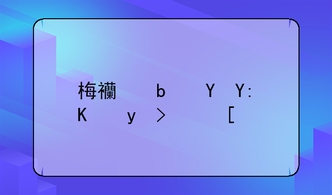 梅西是在哪个球队？