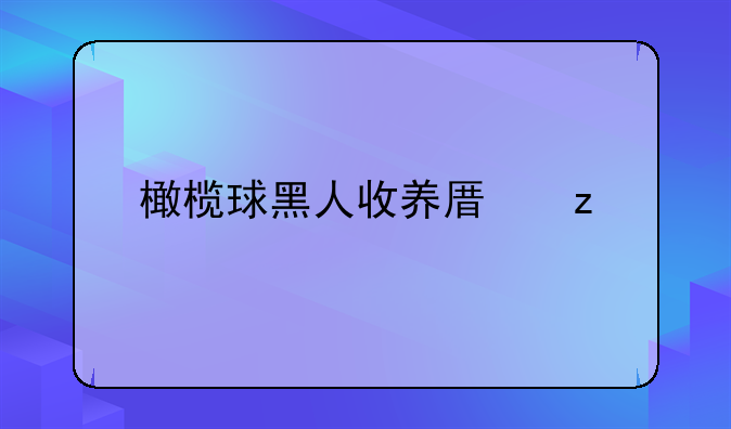 橄榄球黑人收养原型
