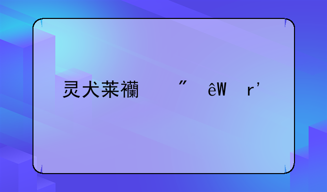 灵犬莱西到底有几部