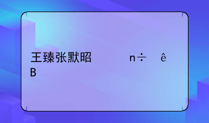王臻张默是中国人吗