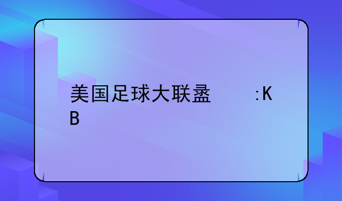 美国足球大联盟排名