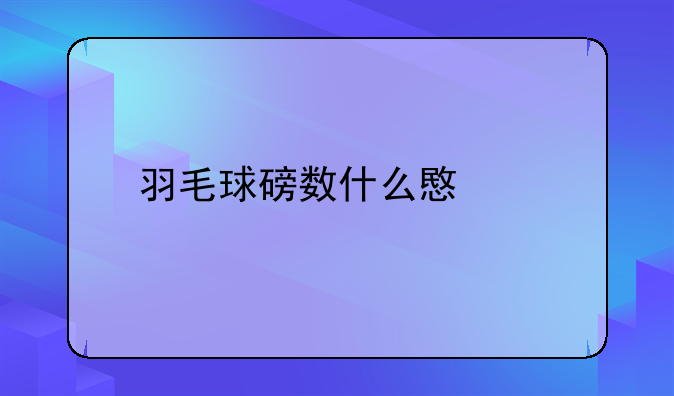 羽毛球磅数什么意思