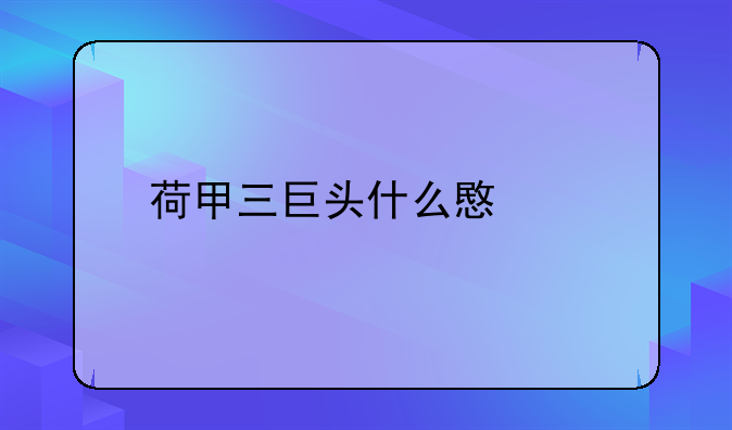 荷甲三巨头什么意思