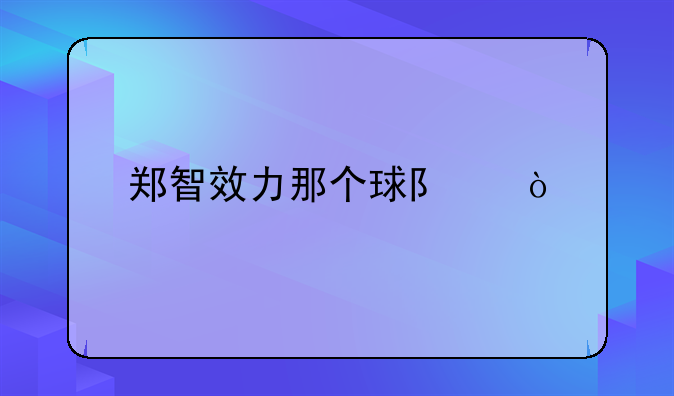 郑智效力那个球队！
