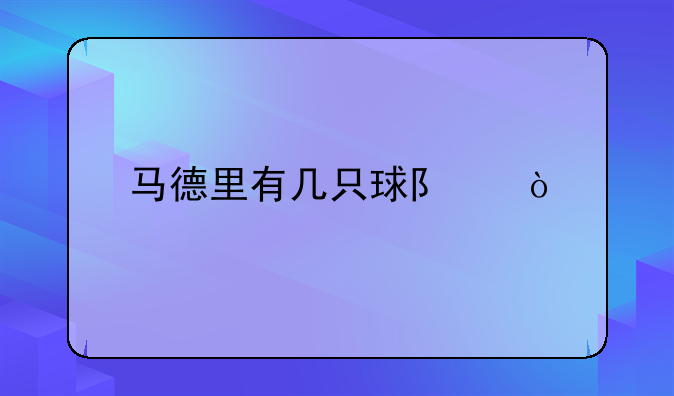 马德里有几只球队？