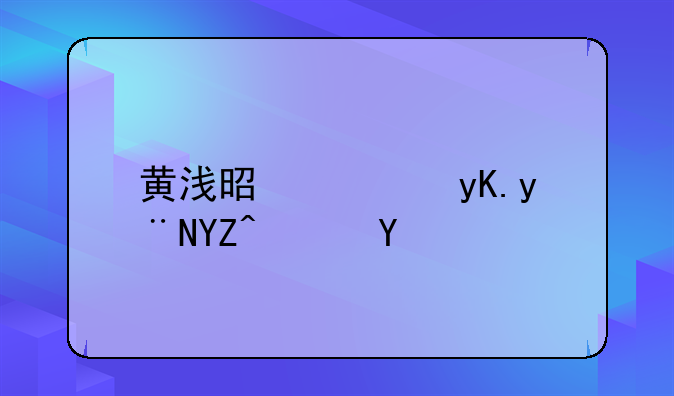 黄浅是西甲的啥队伍