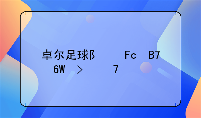 卓尔足球队员名单及籍贯