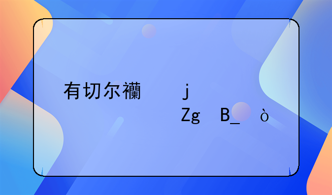 有切尔西的全部资料吗？