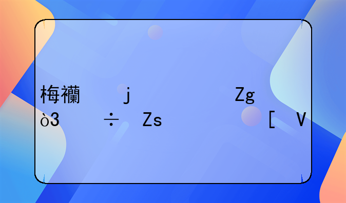 梅西的资料，好喜欢他啊