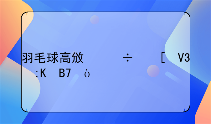 羽毛球高政泽世界排名？