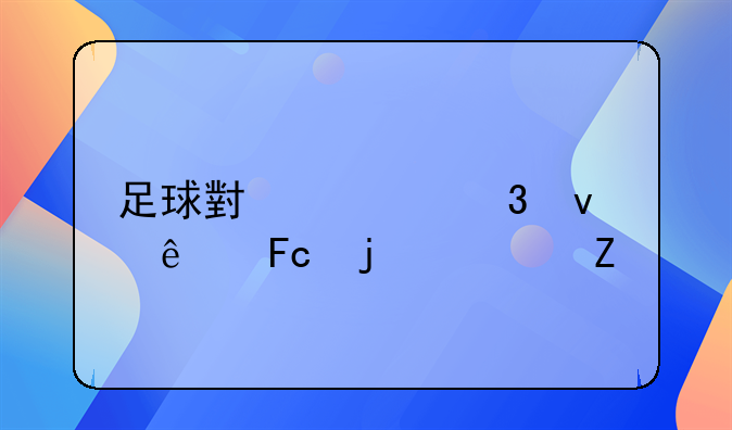 足球小将里面人员的资料