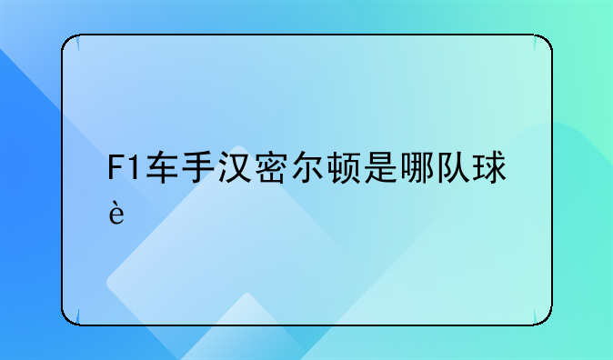 F1车手汉密尔顿是哪队球迷