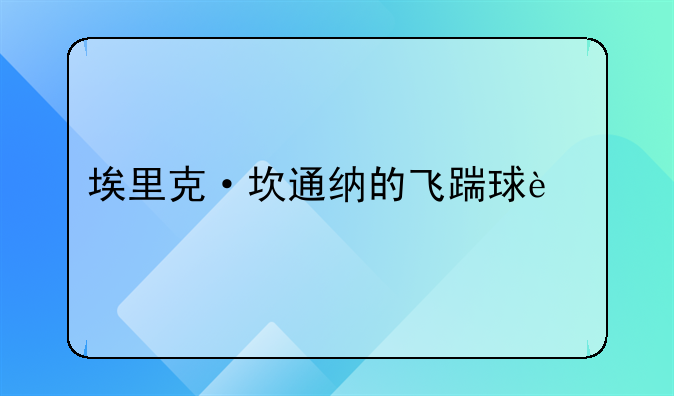 埃里克·坎通纳的飞踹球迷