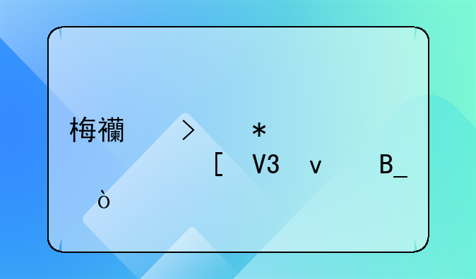 梅西参加过06年世界杯吗？
