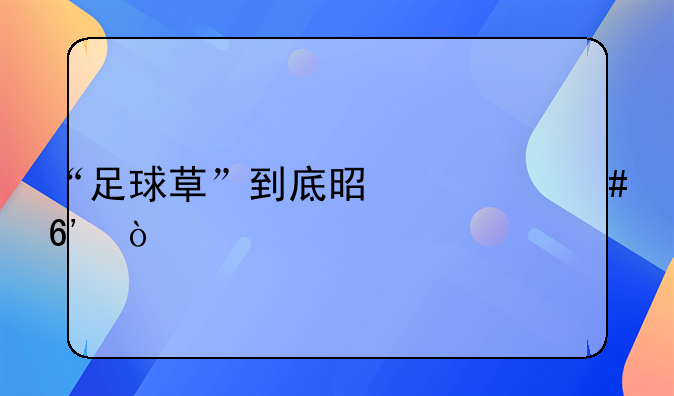 “足球草”到底是什么草？