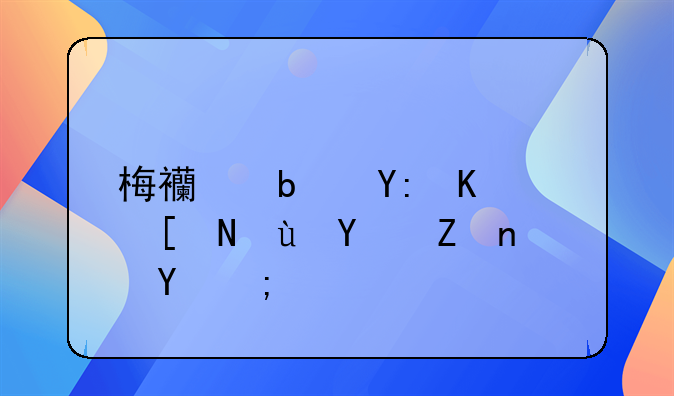 梅西是哪一年进国家队的？