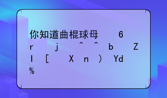 你知道曲棍球每半场的时间是多少分钟吗？