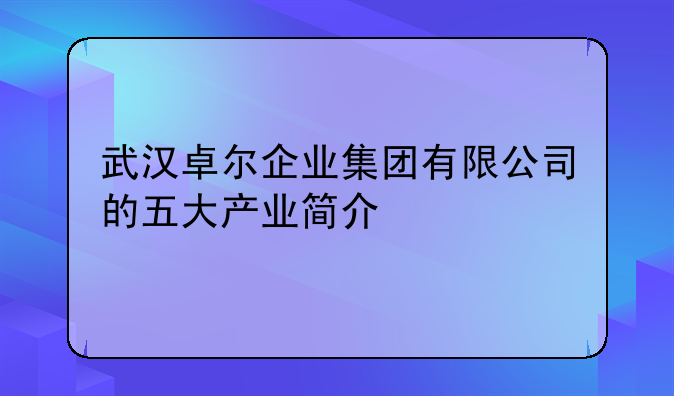 武汉卓尔企业集团有限公司的五大产业简介