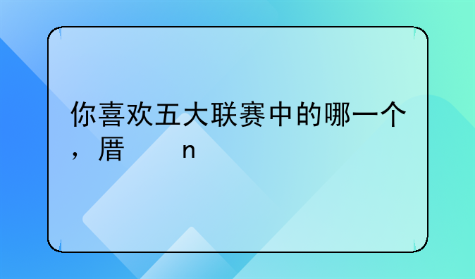 你喜欢五大联赛中的哪一个，原因