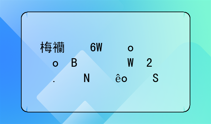梅西单赛季进球纪录包括哪些比赛