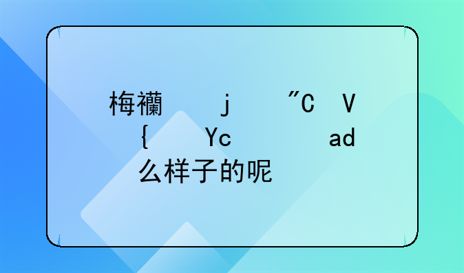 梅西的成长经历是什么样子的呢？