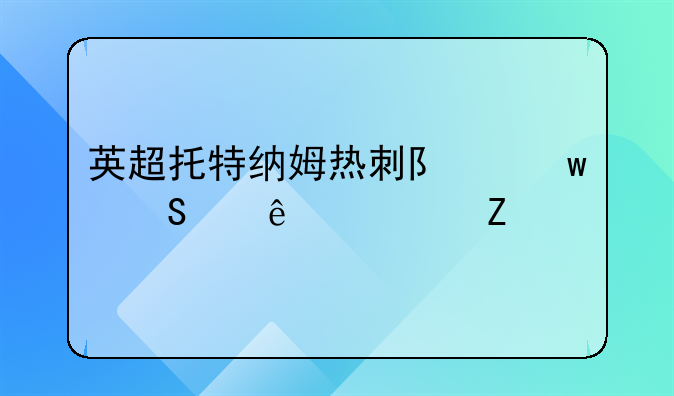 英超托特纳姆热刺队贝尔个人资料