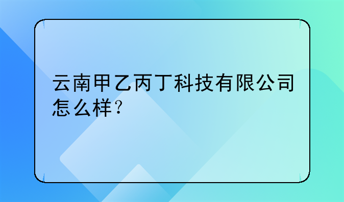 云南甲乙丙丁科技有限公司怎么样？